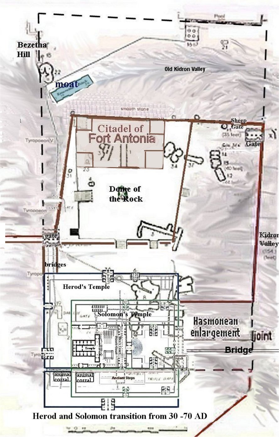Fort Antonia on Dome of Rock Platform